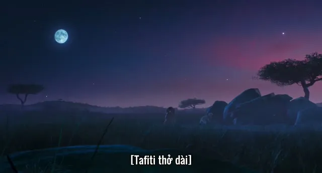 Xem phim Tafiti và Hành Trình Xuyên Sa Mạc Vietsub HD tại TVHay Xem phim Tafiti và Hành Trình Xuyên Sa Mạc Vietsub HD tại TVHay