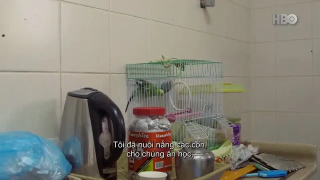 Hình ảnh trong phim Trường Dạy Lái Xe Cho Phụ Nữ Xê-út trên TVHay Hình ảnh trong phim Trường Dạy Lái Xe Cho Phụ Nữ Xê-út trên TVHay