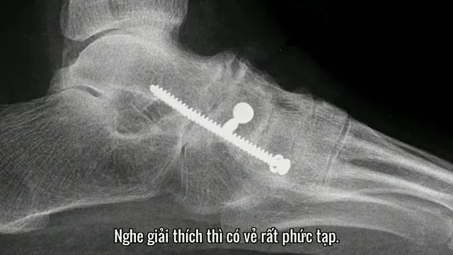 Rafa tập 2 Vietsub HD - TVHay Rafa tập 2 Vietsub HD - TVHay