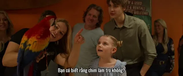 Xem phim Dolphin Summer Vietsub HD tại TVHay Xem phim Dolphin Summer Vietsub HD tại TVHay