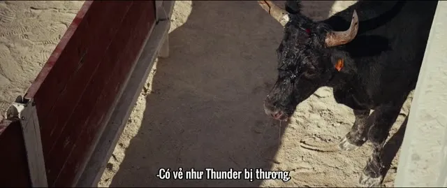 Xem phim Animale Vietsub HD tại TVHay Xem phim Animale Vietsub HD tại TVHay