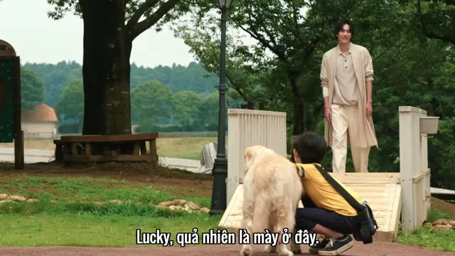 Hiệp Sĩ Mặt Nạ: Bộ Tam Tội Lỗi 2022 Vietsub HD - TVHay Hiệp Sĩ Mặt Nạ: Bộ Tam Tội Lỗi 2022 Vietsub HD - TVHay