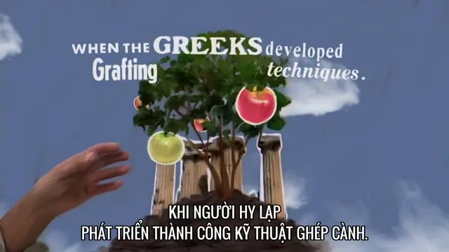 Hình ảnh trong phim Nào Ta Cùng Làm Vườn trên TVHay Hình ảnh trong phim Nào Ta Cùng Làm Vườn trên TVHay