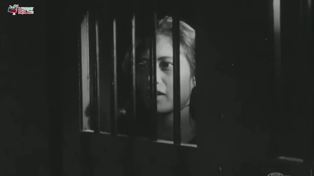 Nổi gió 1966 Vietsub HD - TVHay Nổi gió 1966 Vietsub HD - TVHay
