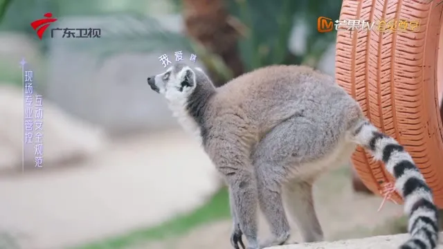 Hình ảnh trong phim Tỏa Sáng Vì Yêu trên TVHay Hình ảnh trong phim Tỏa Sáng Vì Yêu trên TVHay