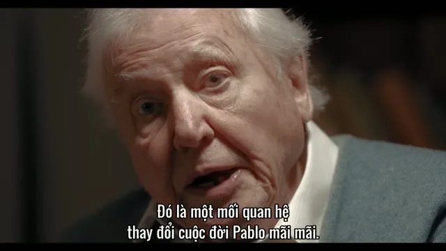 Xem phim Câu Chuyện Khỉ Đột: Qua Lời Kể Của David Attenborough Vietsub HD tại TVHay Xem phim Câu Chuyện Khỉ Đột: Qua Lời Kể Của David Attenborough Vietsub HD tại TVHay