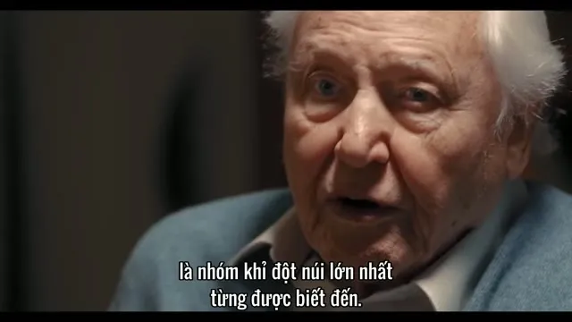 Hình ảnh trong phim Câu Chuyện Khỉ Đột: Qua Lời Kể Của David Attenborough trên TVHay Hình ảnh trong phim Câu Chuyện Khỉ Đột: Qua Lời Kể Của David Attenborough trên TVHay