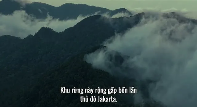 Xem phim Timur Vietsub HD tại TVHay Xem phim Timur Vietsub HD tại TVHay