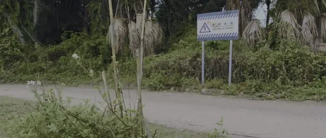Xem phim Trái Tim Của Tương Lai Vietsub + Thuyết Minh HD tại TVHay Xem phim Trái Tim Của Tương Lai Vietsub + Thuyết Minh HD tại TVHay