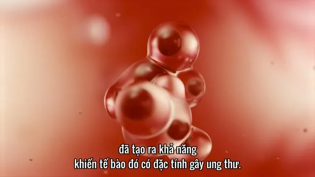 Xem phim Thải Độc Nhựa Vietsub HD tại TVHay Xem phim Thải Độc Nhựa Vietsub HD tại TVHay