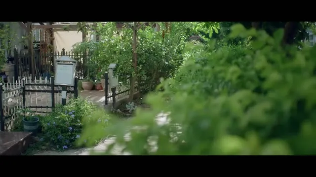Xem phim Vụng Trộm Không Thể Giấu Vietsub + Thuyết Minh HD tại TVHay Xem phim Vụng Trộm Không Thể Giấu Vietsub + Thuyết Minh HD tại TVHay