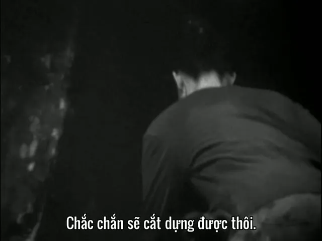 Xem phim Dự Án Phù Thủy Rừng Blair Vietsub HD tại TVHay Xem phim Dự Án Phù Thủy Rừng Blair Vietsub HD tại TVHay