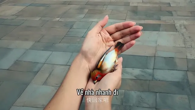 Hình ảnh trong phim Duyên Khởi Trần Đường: Khuynh Thành trên TVHay Hình ảnh trong phim Duyên Khởi Trần Đường: Khuynh Thành trên TVHay