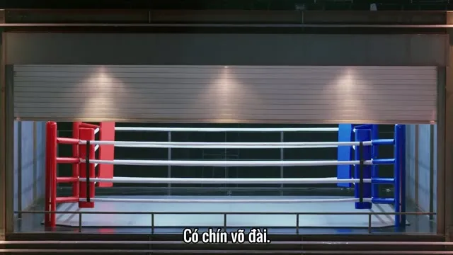 Xem phim Tay Đấm Bốc Vietsub HD tại TVHay Xem phim Tay Đấm Bốc Vietsub HD tại TVHay