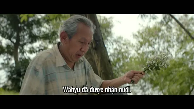 Xem phim Thư gửi tuổi trẻ của tôi Vietsub HD tại TVHay Xem phim Thư gửi tuổi trẻ của tôi Vietsub HD tại TVHay