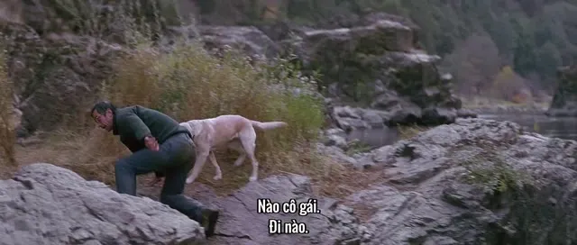 Dòng Sông Hung Dữ 1994 Vietsub HD - TVHay Dòng Sông Hung Dữ 1994 Vietsub HD - TVHay