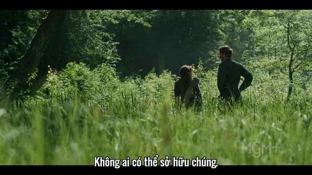 Xem phim Robin Hood Vietsub + Thuyết Minh HD tại TVHay Xem phim Robin Hood Vietsub + Thuyết Minh HD tại TVHay
