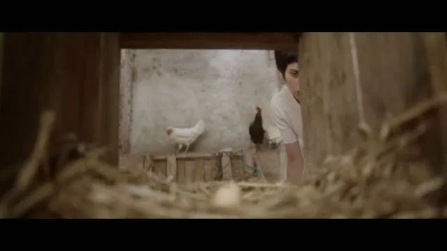 Tin và Tina 2023 Vietsub HD - TVHay Tin và Tina 2023 Vietsub HD - TVHay