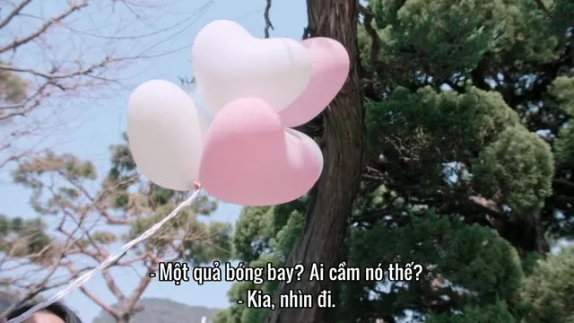 Bạn Trai Người Hàn Quốc Của Tôi (Meu Namorado Coreano) 2026 Vietsub HD - TVHay Bạn Trai Người Hàn Quốc Của Tôi (Meu Namorado Coreano) 2026 Vietsub HD - TVHay