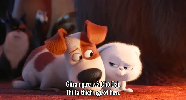 Hình ảnh trong phim Đẳng Cấp Thú Cưng trên TVHay Hình ảnh trong phim Đẳng Cấp Thú Cưng trên TVHay