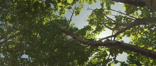 Trên Đỉnh Đông Sơn 2025 Vietsub HD - TVHay Trên Đỉnh Đông Sơn 2025 Vietsub HD - TVHay