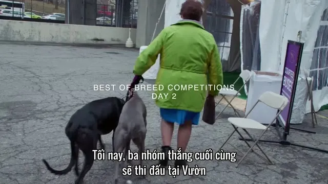 7 Ngày Trước Sự Kiện 2018 Vietsub HD - TVHay 7 Ngày Trước Sự Kiện 2018 Vietsub HD - TVHay