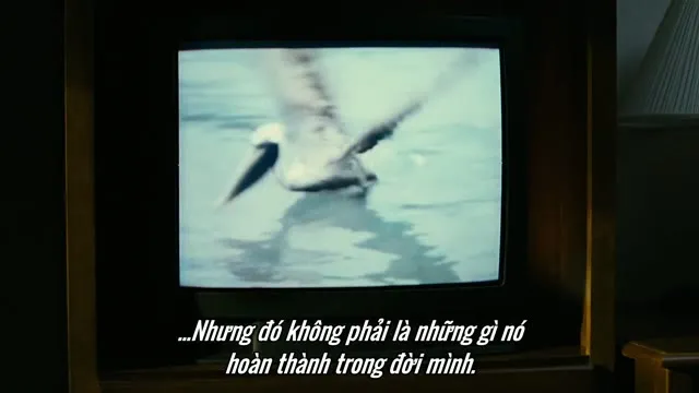 Xem phim Cuộc Chiến Cho Người Ở Lại Vietsub HD tại TVHay Xem phim Cuộc Chiến Cho Người Ở Lại Vietsub HD tại TVHay