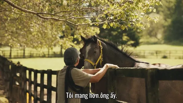 Hình ảnh trong phim Gia Tộc Huy Hoàng trên TVHay Hình ảnh trong phim Gia Tộc Huy Hoàng trên TVHay