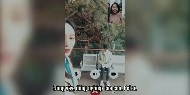 Xem phim Gấu Trúc Và Bạn, Lăn Đến Đây! Vietsub HD tại TVHay Xem phim Gấu Trúc Và Bạn, Lăn Đến Đây! Vietsub HD tại TVHay