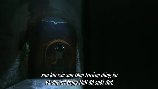 Xem phim Bác Sĩ Ma Cà Rồng Vietsub + Lồng Tiếng HD tại TVHay Xem phim Bác Sĩ Ma Cà Rồng Vietsub + Lồng Tiếng HD tại TVHay