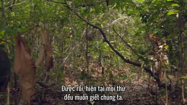Xem phim Khỏa Thân Và Sợ Hãi: Tây Ban Nha (Aventura en pelotas: España) Vietsub HD tại TVHay Xem phim Khỏa Thân Và Sợ Hãi: Tây Ban Nha (Aventura en pelotas: España) Vietsub HD tại TVHay