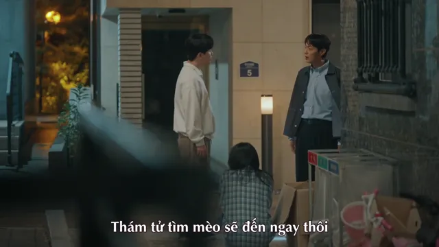 Hình ảnh trong phim Cuộc Chiến Giành Quyền Nuôi Mèo trên TVHay Hình ảnh trong phim Cuộc Chiến Giành Quyền Nuôi Mèo trên TVHay