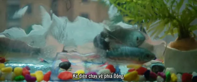 Xem phim Phòng Vệ Chính Đáng Vietsub + Thuyết Minh HD tại TVHay Xem phim Phòng Vệ Chính Đáng Vietsub + Thuyết Minh HD tại TVHay
