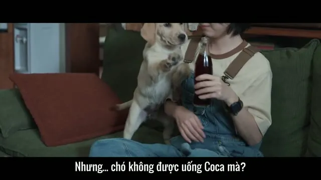 Xem phim Tạm Biệt, Lý Khả Lạc Vietsub + Thuyết Minh HD tại TVHay Xem phim Tạm Biệt, Lý Khả Lạc Vietsub + Thuyết Minh HD tại TVHay