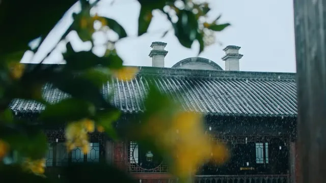 Xuân Muộn 2025 Vietsub HD - TVHay Xuân Muộn 2025 Vietsub HD - TVHay