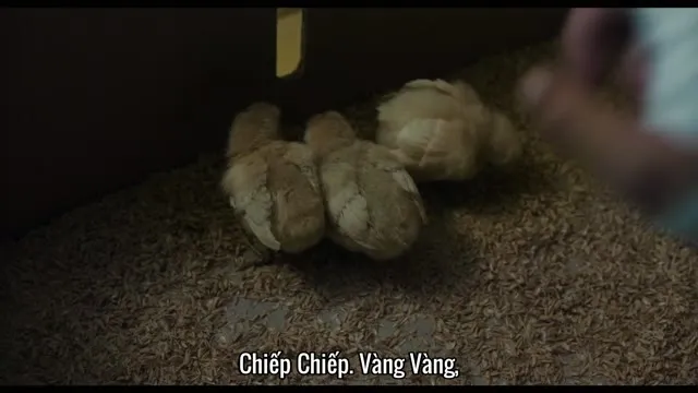 Ngày Không Còn Mẹ 2017 Vietsub HD - TVHay Ngày Không Còn Mẹ 2017 Vietsub HD - TVHay