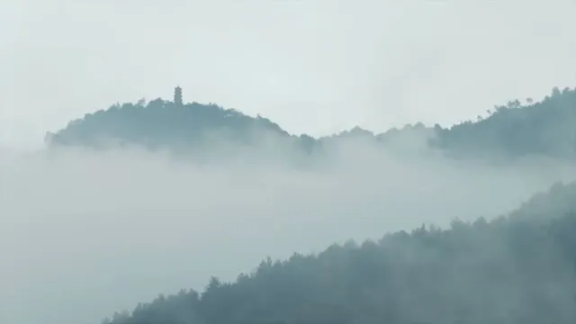 Phù Dao Hoàng Hậu 2018 Vietsub HD - TVHay Phù Dao Hoàng Hậu 2018 Vietsub HD - TVHay