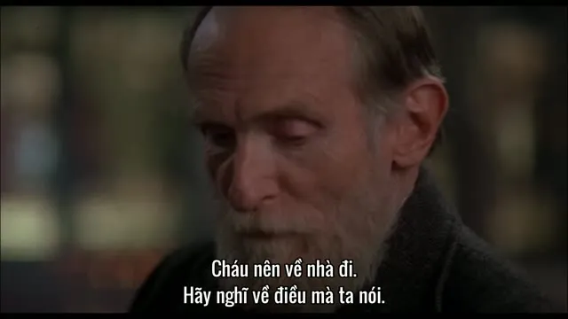 Ở Nhà Một Mình 1990 Vietsub HD - TVHay Ở Nhà Một Mình 1990 Vietsub HD - TVHay