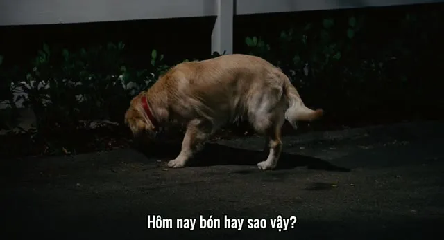 Xem phim Cú Click Huyền Bí (Điều Khiển Kỳ Diệu) Vietsub HD tại TVHay Xem phim Cú Click Huyền Bí (Điều Khiển Kỳ Diệu) Vietsub HD tại TVHay