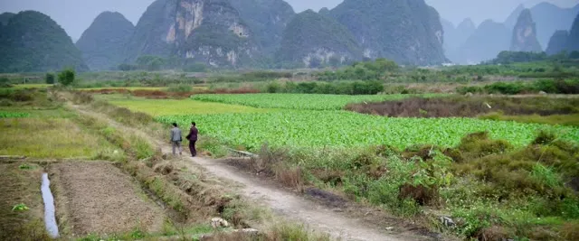 Tẩu Thoát Ngoạn Mục 2016 Vietsub HD - TVHay Tẩu Thoát Ngoạn Mục 2016 Vietsub HD - TVHay