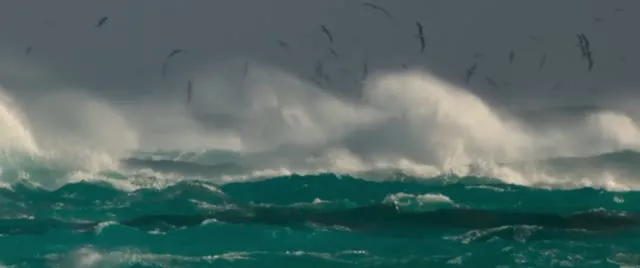 Đại dương cùng David Attenborough 2025 Vietsub HD - TVHay Đại dương cùng David Attenborough 2025 Vietsub HD - TVHay